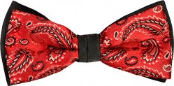 Classico Italiano Red / Black Paisley Desgin 100% Silk Bow Tie / Hanky Set BT003