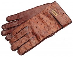 Mauri Hand-Painted Gold Genuine Ostrich Quill / Calfskin Gloves With Strap