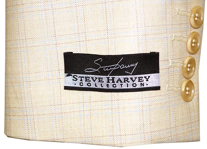 Steve Harvey on the Fashion System – WWD