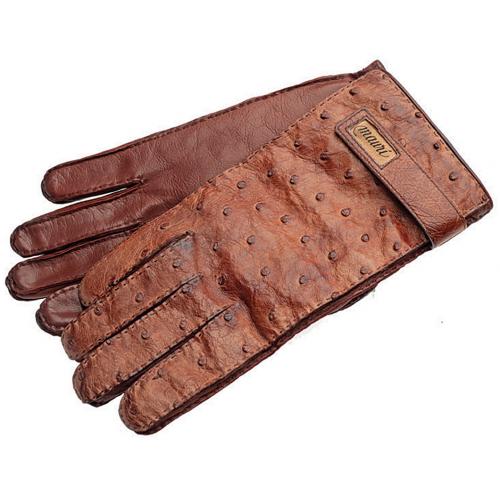 Mauri Hand-Painted Gold Genuine Ostrich Quill / Calfskin Gloves With Strap