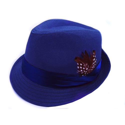 Bruno Capelo Royal Blue Stingy Brim Fedora Hat SD-129