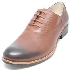 Encore By Fiesso Brown Genuine Leather Shoes FI9053