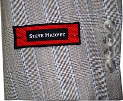 Steve Harvey taupe and turquoise plaid wool suit sleeve