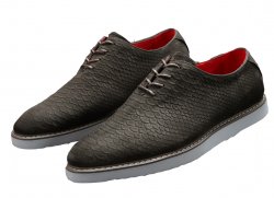 Tayno "Wager" Charcoal Grey Python Embossed Vegan Suede Oxford Sneakers
