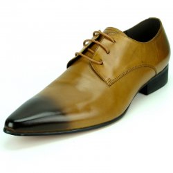 Encore By Fiesso Tan Genuine Leather Lace-up Pointed Toe Shoes FI7285.