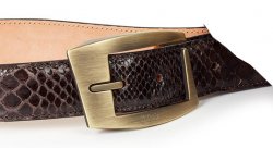 Mauri "100/35" Dark Brown Genuine Python Belt