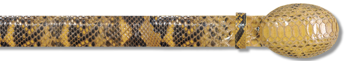 Los Altos Buttercup Genuine Python Belt C115702
