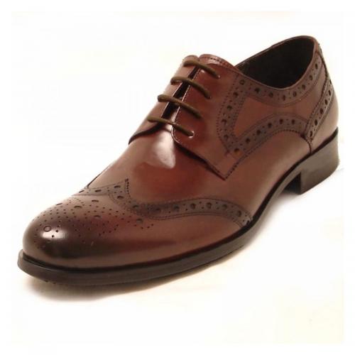 Encore By Fiesso Brown Wingtip Leather Shoes FI3165
