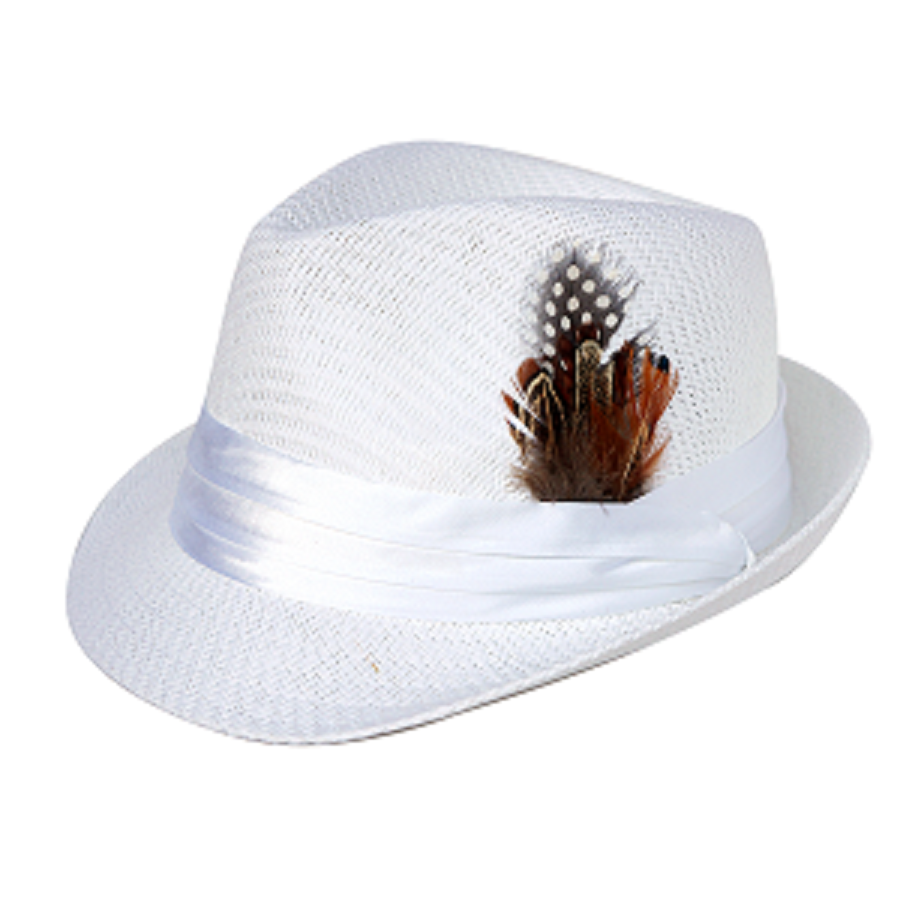 Bruno Capelo White Stingy Brim Fedora Straw Hat SD-400 - $49.90 :: Upscale  Menswear 
