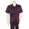 Pronti Purple / Metallic Red Lurex Embroidered Short Sleeve Outfit SP6394