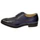 Antonio Cerrelli Navy Stingray Print Vegan Leather Wingtip Derby Shoes 6836