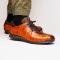 Marco Di Milano "Saulo" Brandy Genuine Crocodile And Ostrich Quill Fashion Sneaker