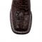 Ferrini "Kai" Chocolate Sea Turtle Print Square Toe Cowboy Boots 42593-09
